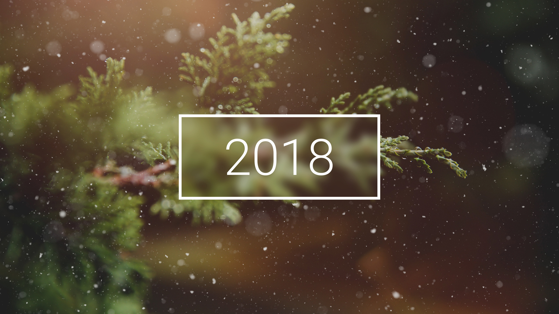2018年,冬天,圣诞节,树枝,新年,雪,2018年风景壁纸