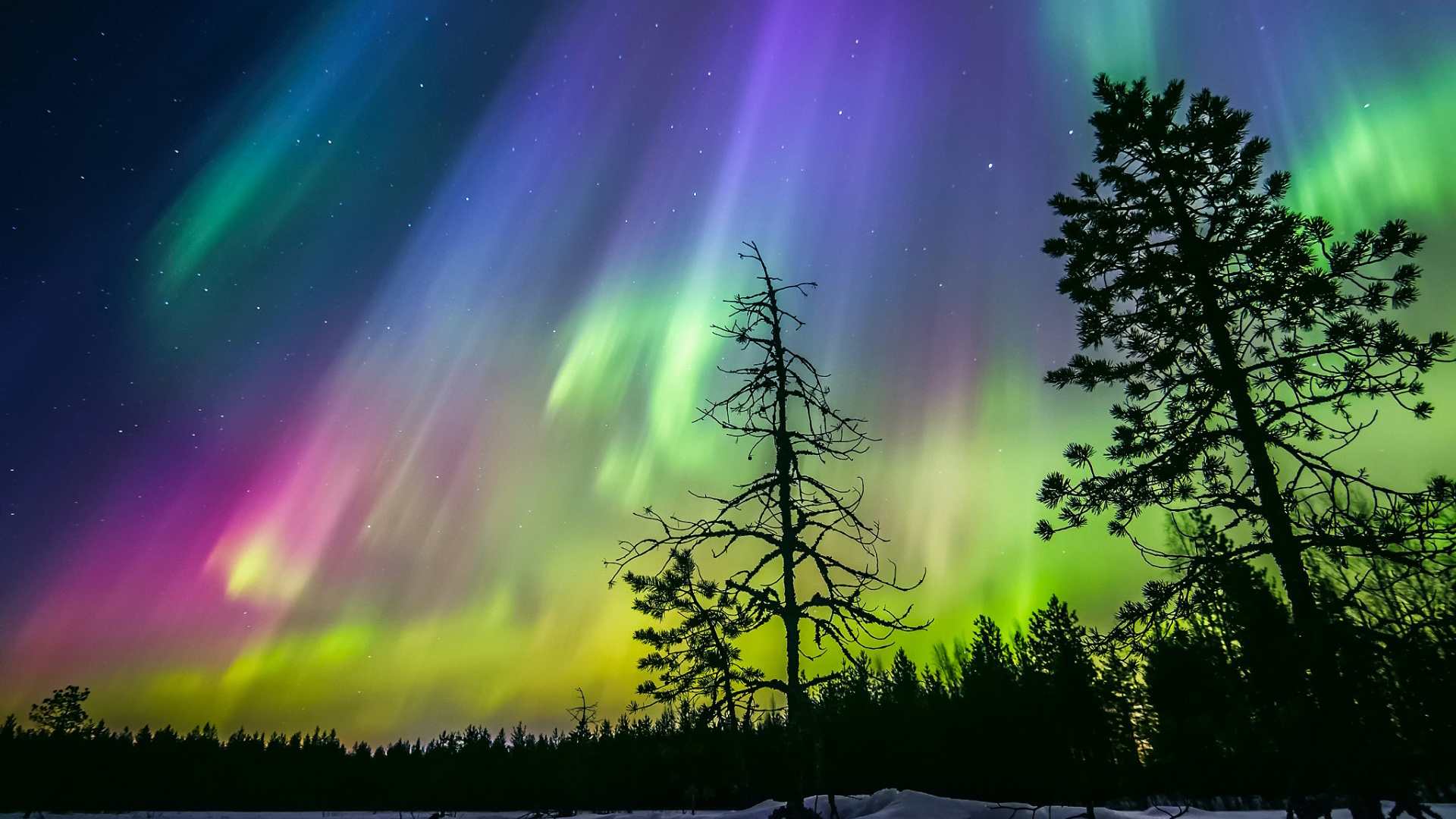 芬兰，冬天的夜晚，天空，星星，梦幻，风景壁纸