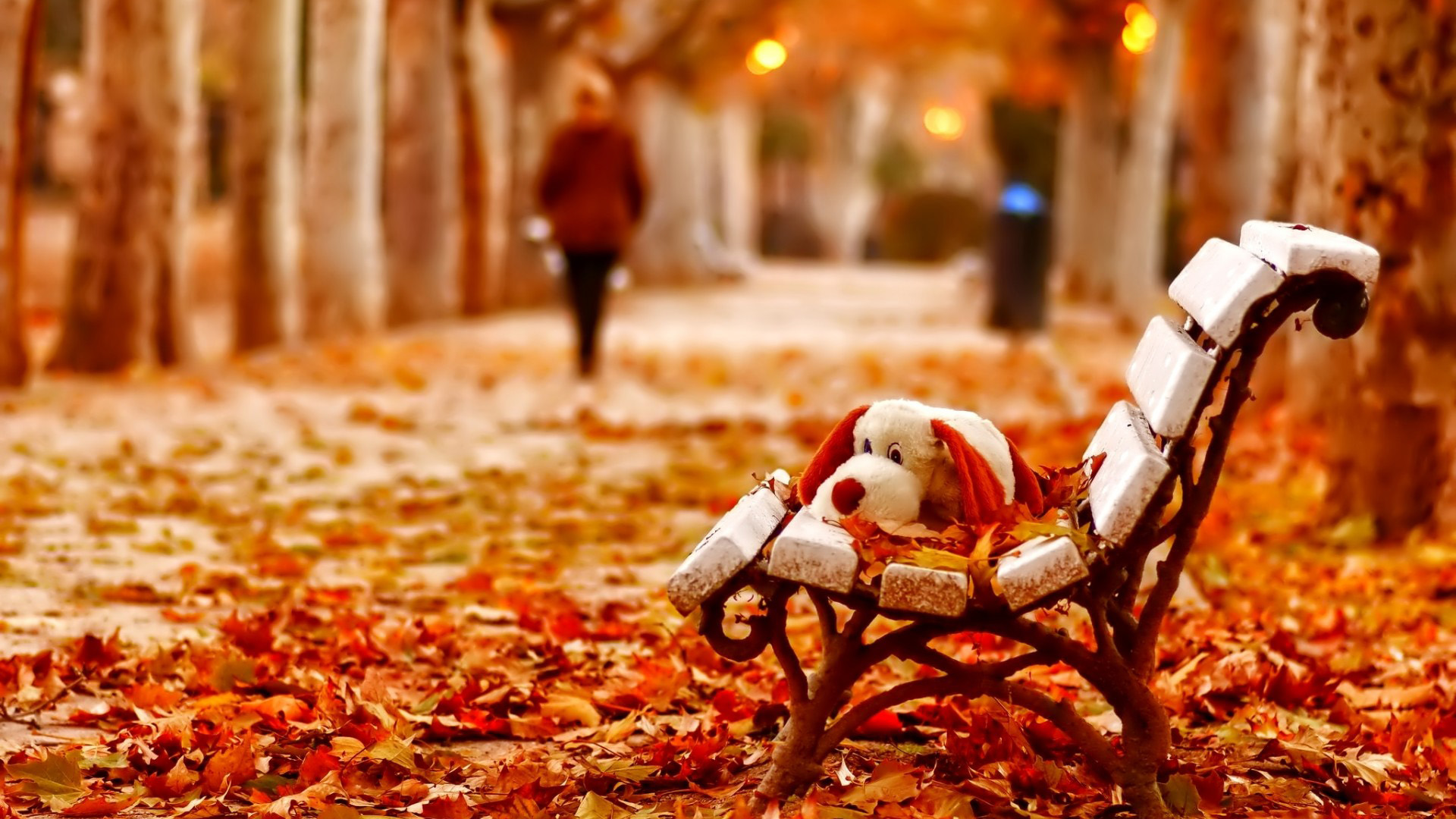 秋天,叶子,板凳,玩具,女孩,背影,意境桌面壁纸