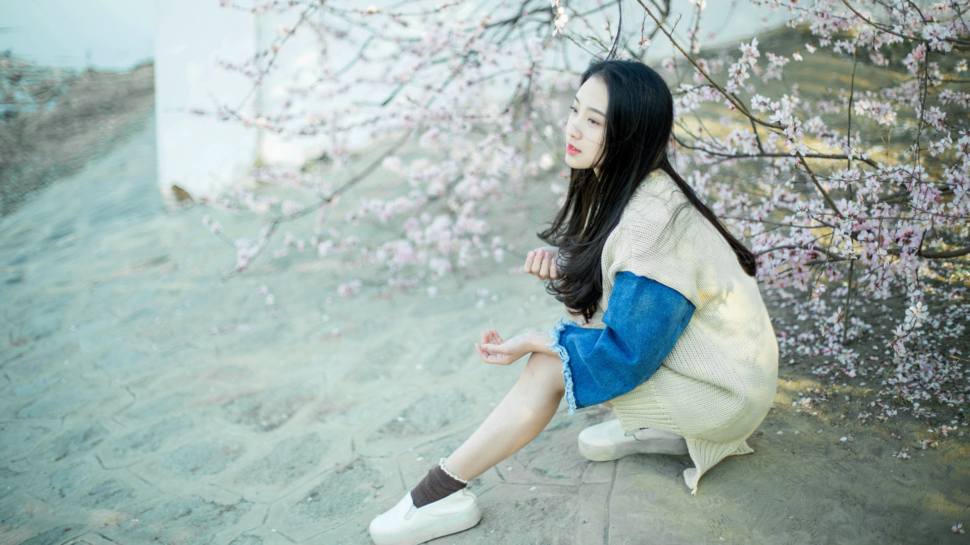 清纯女孩桌面壁纸，免费下载美丽花开电脑背景