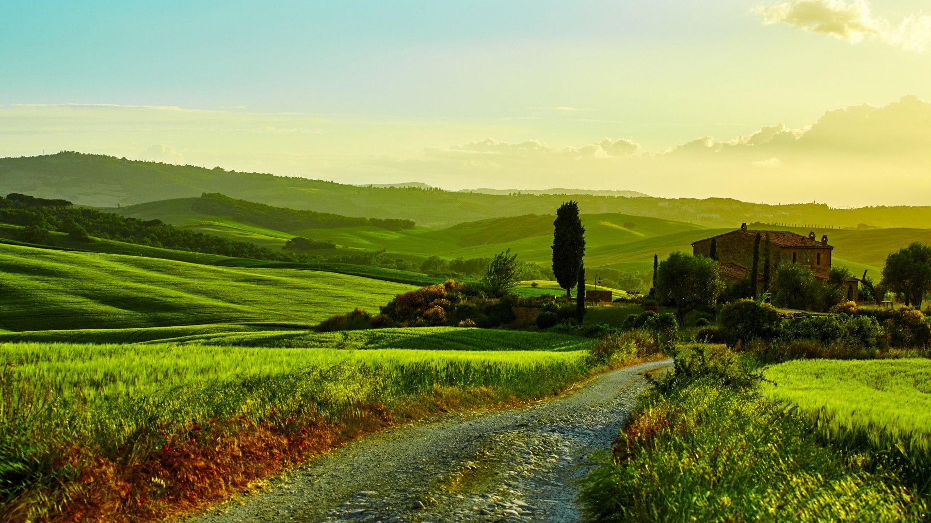 意大利托斯卡纳,田野,草地,风景桌面壁纸