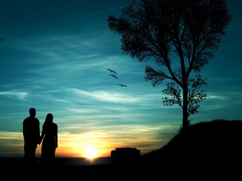 浪漫情侣恋人牵手,夕阳,天空,树,大雁,风景壁纸