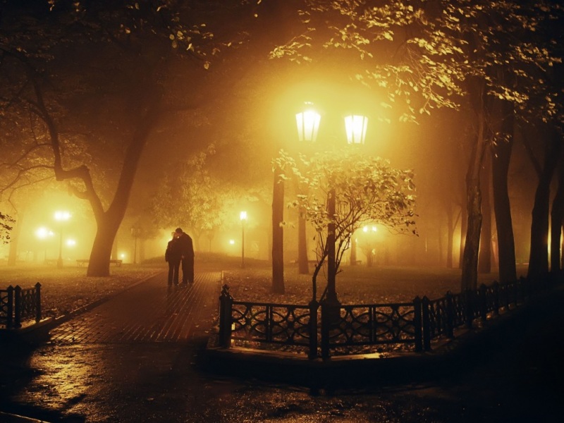 夜晚灯光阑珊处,公园,树林,恋人,浪漫唯美意境桌面壁纸