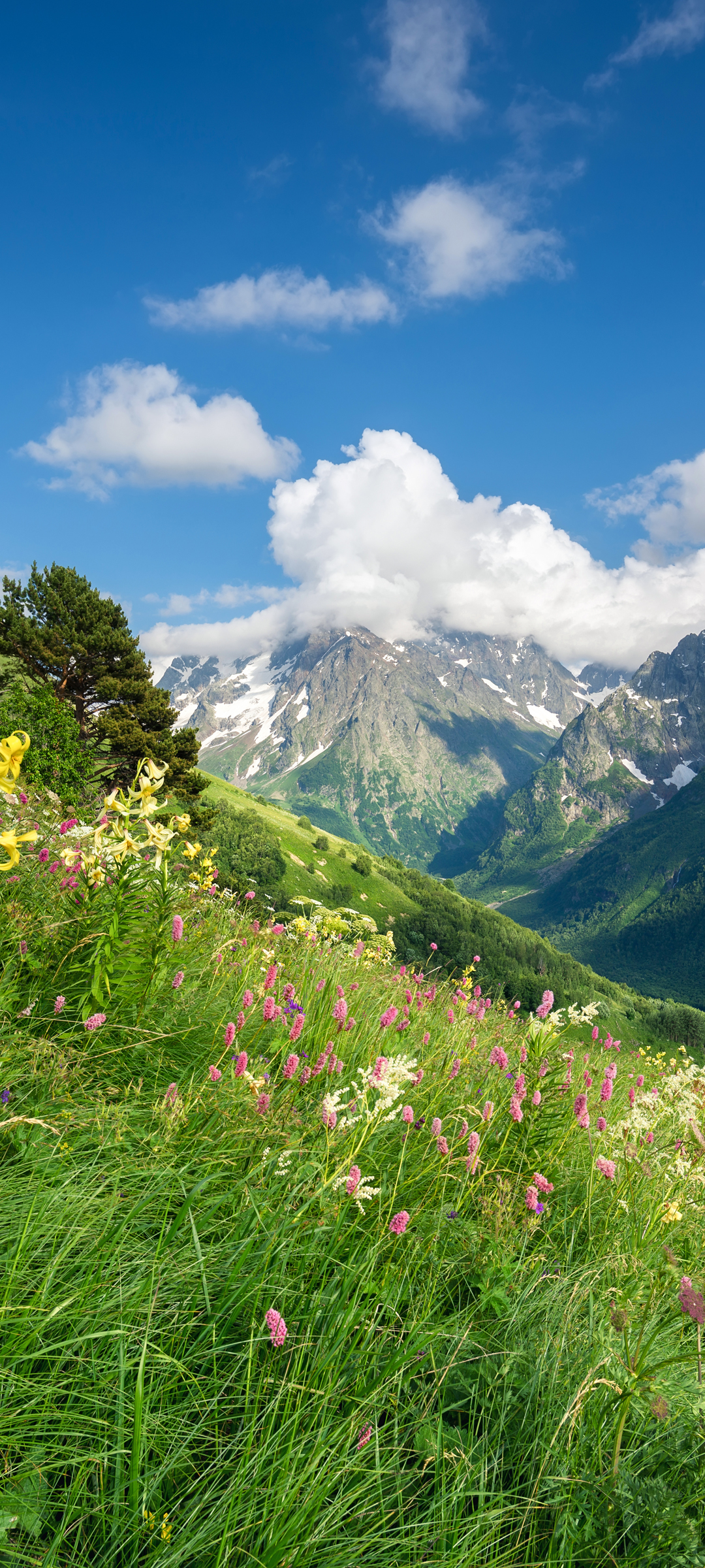 大山 山顶 风景手机壁纸