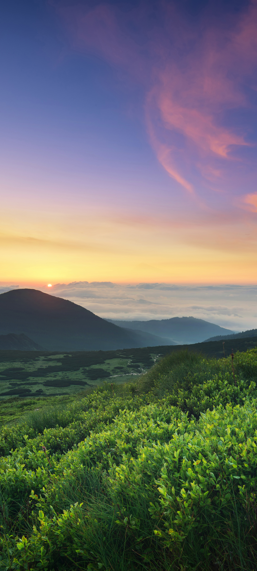 日出美景手机壁纸，免费高清下载，风景如画尽享每日新晨