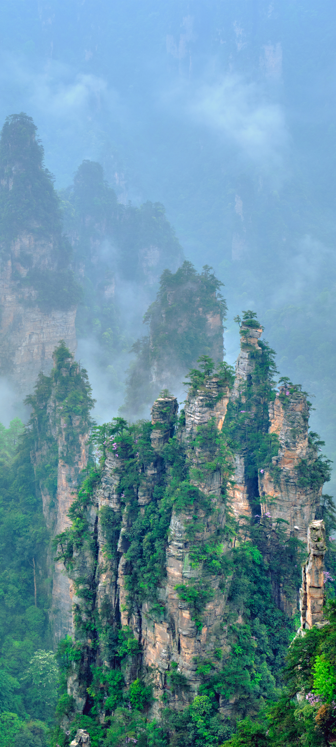 石林风景高清壁纸