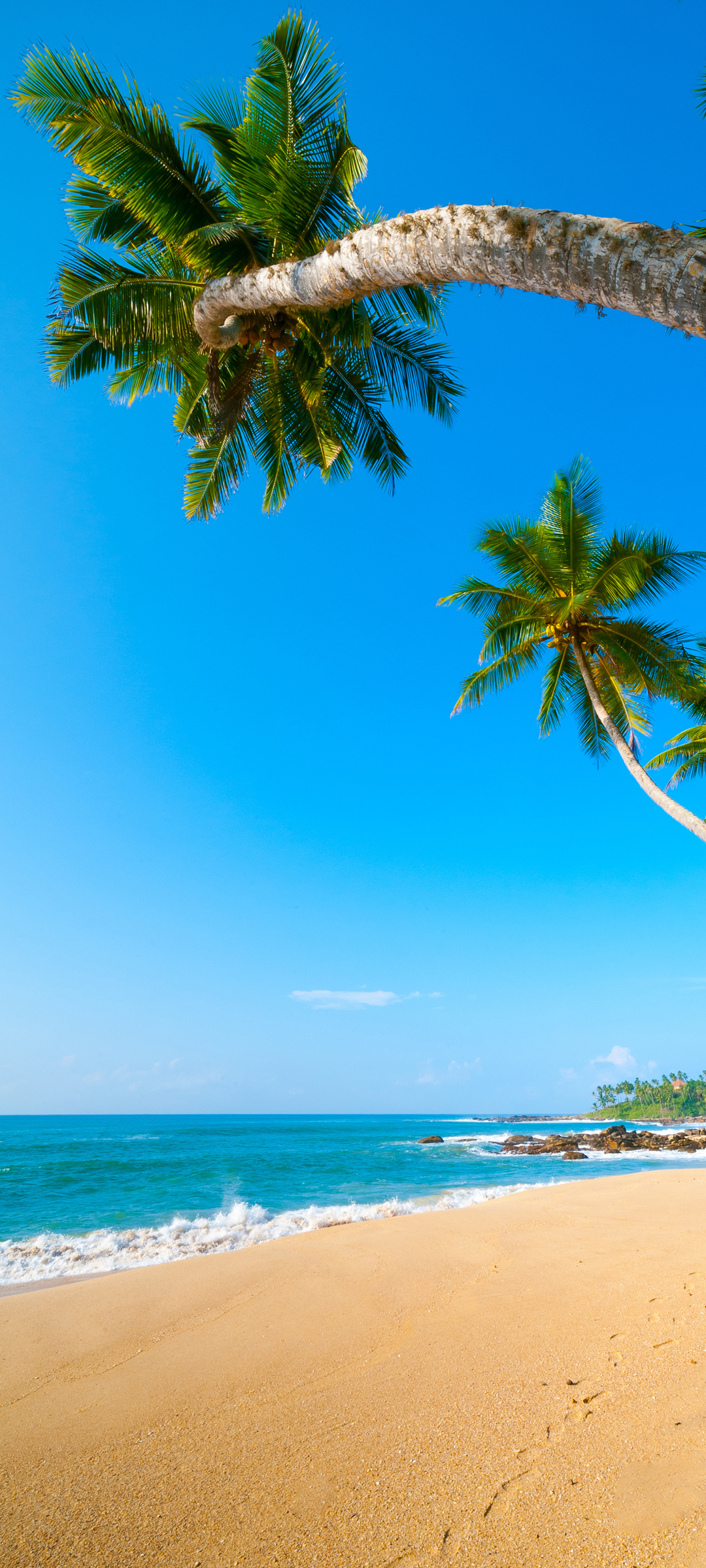 大海 海边 椰树 沙滩风景手机壁纸