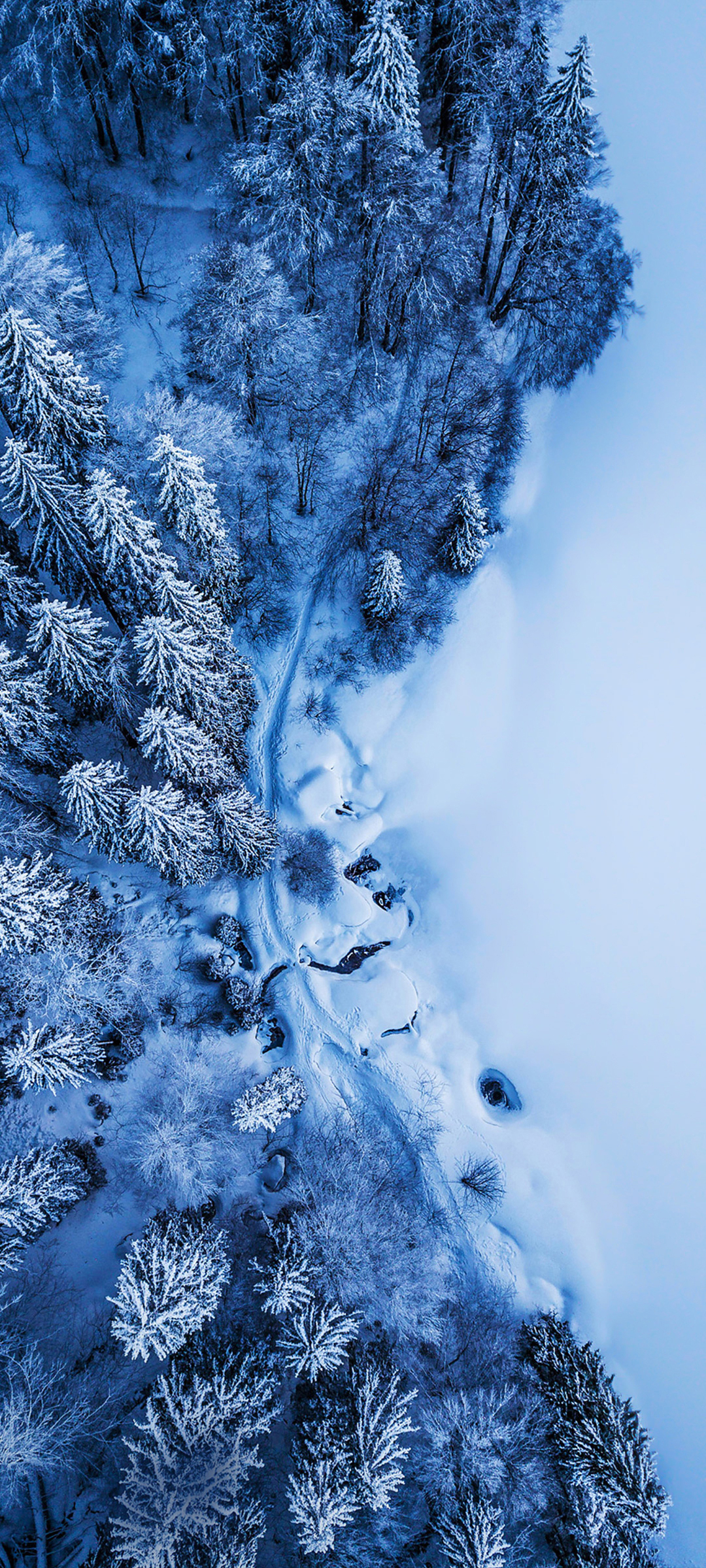 雪林鸟瞰美景，高清手机壁纸免费下载，畅享自然风光