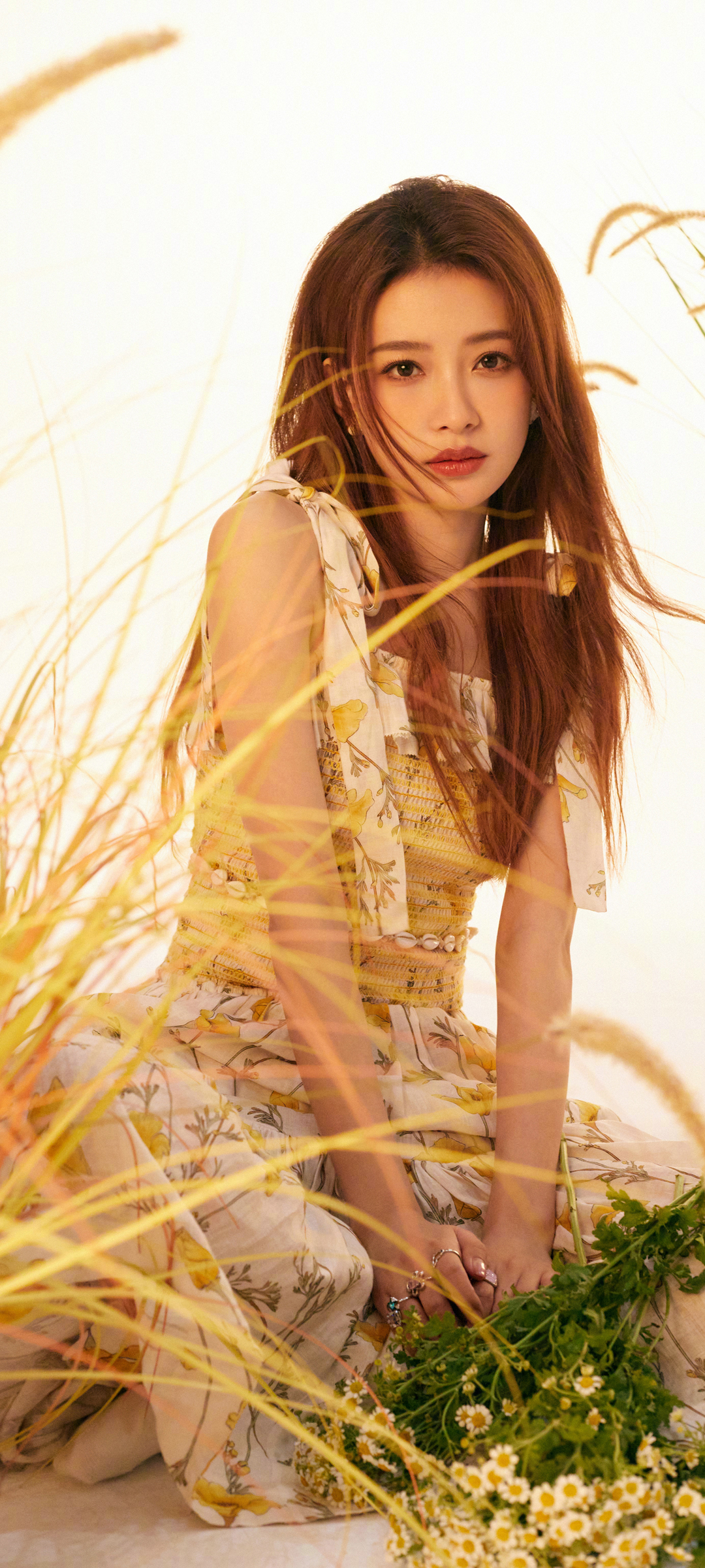 孙怡邹菊花绝美壁纸，高清美女手机图片，免费下载