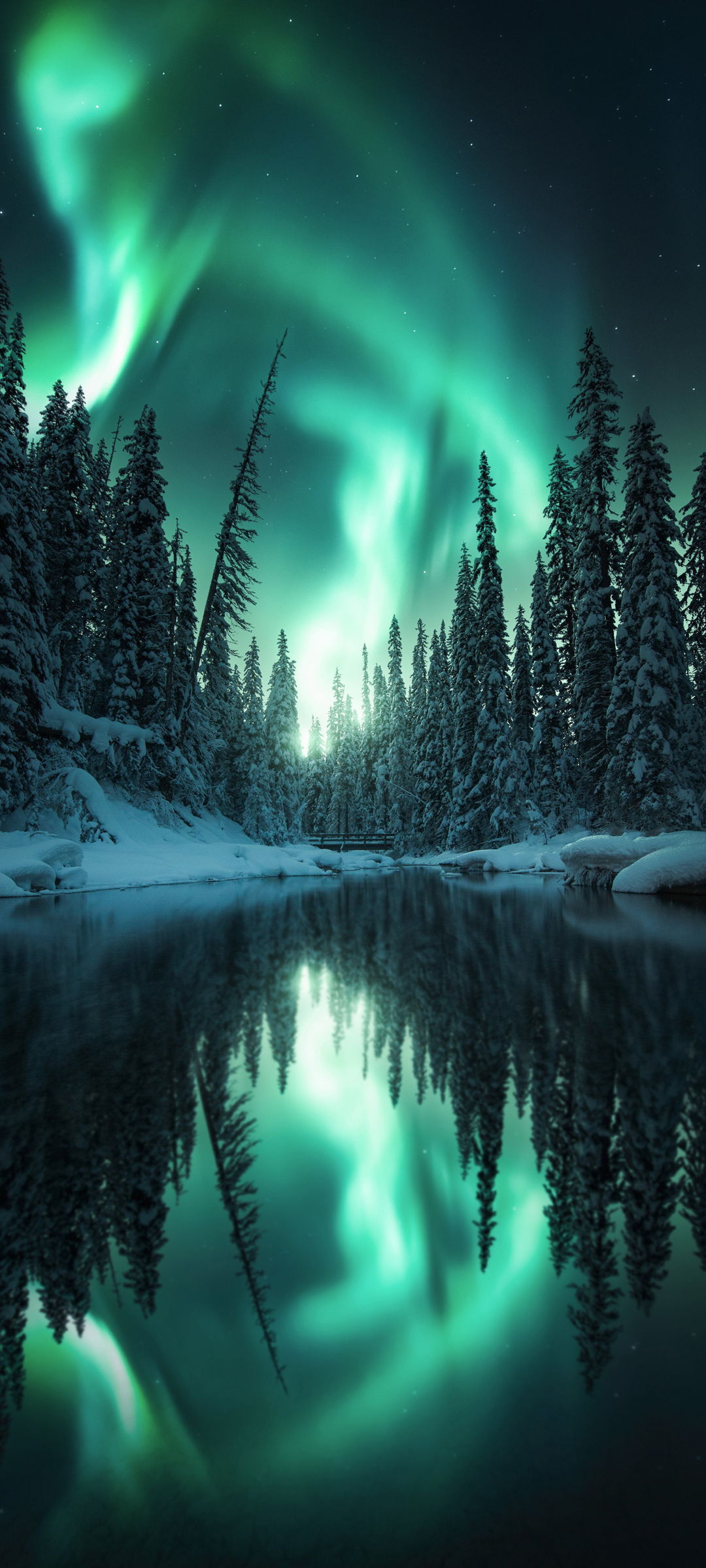 极光雪树水景，绝美手机壁纸免费下载，高清风景尽在掌握