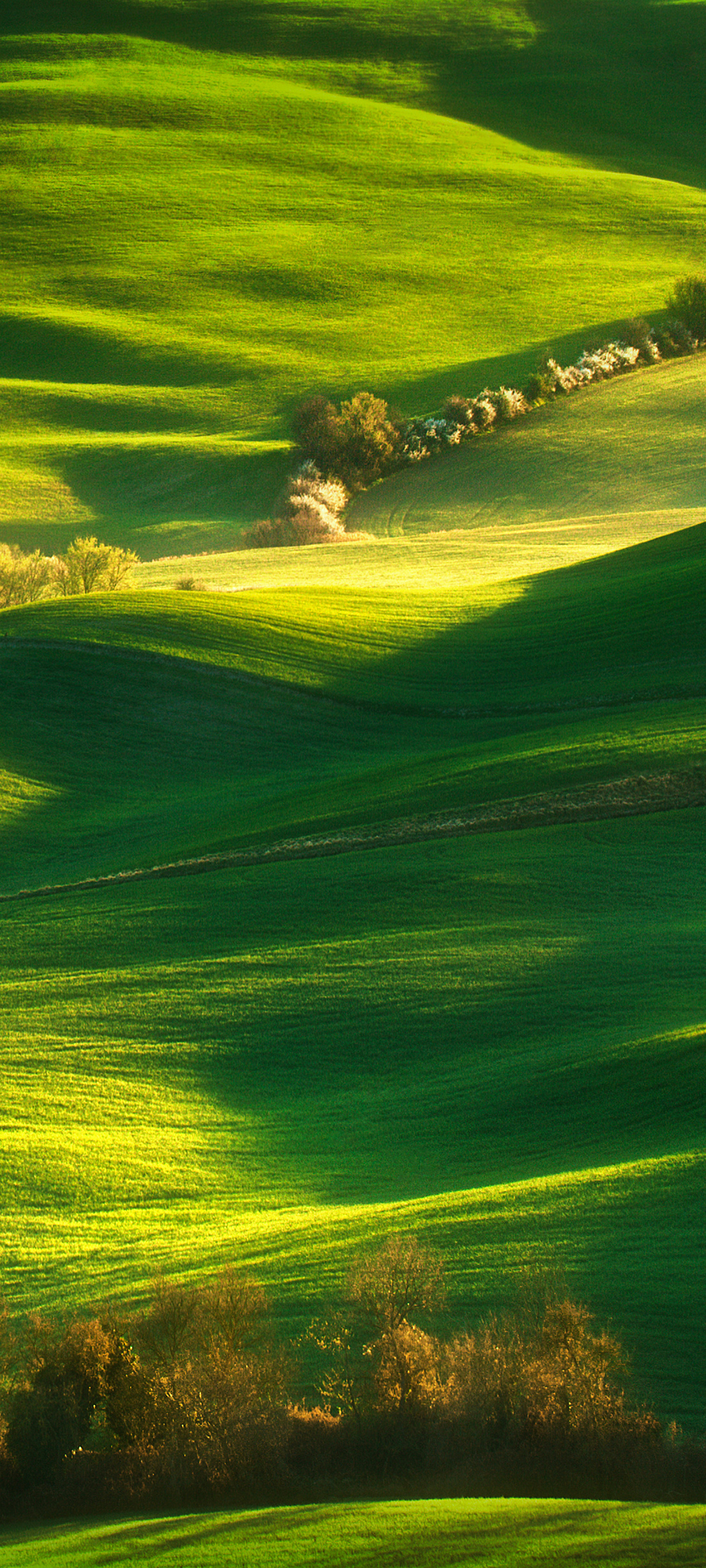 绿草地 山丘风景手机壁纸