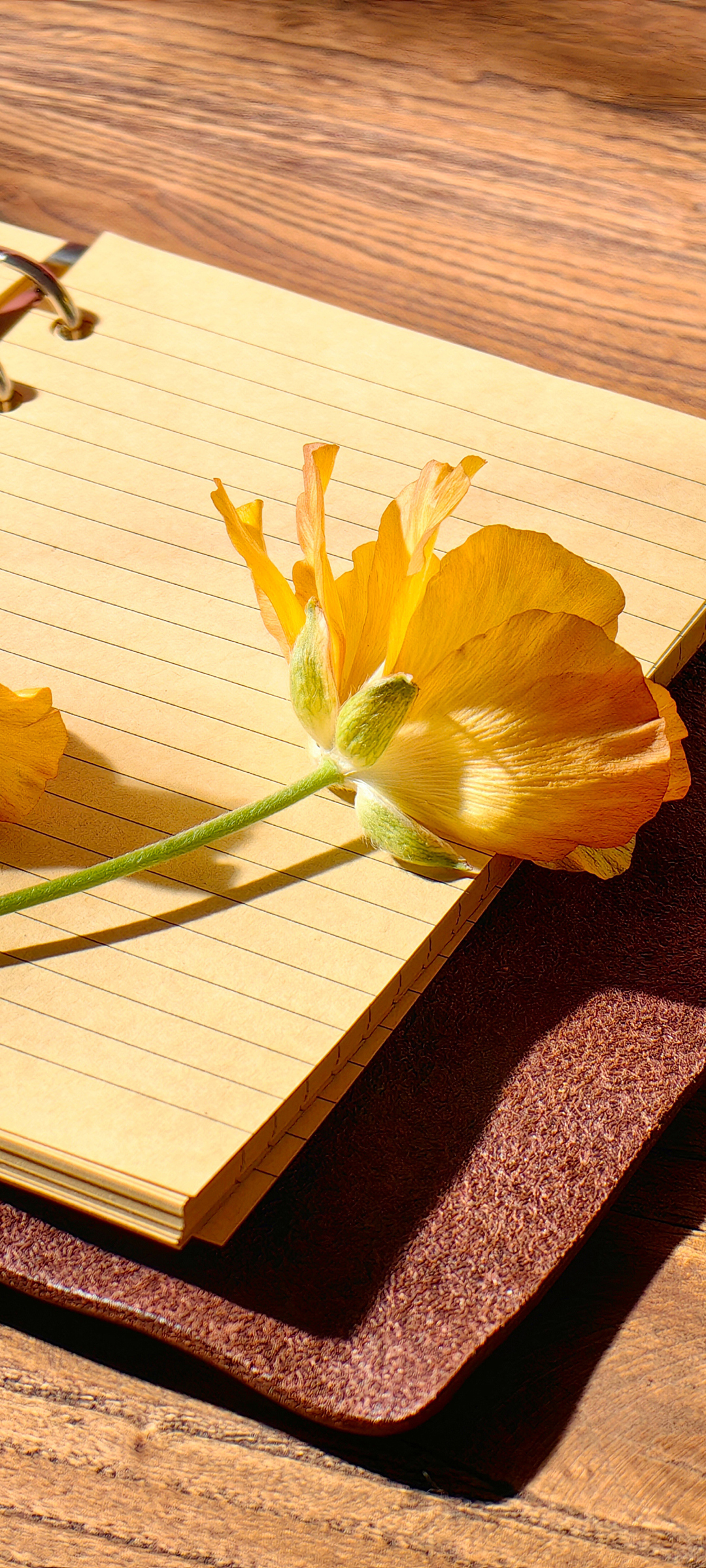 木桌 书写本 花朵 手机背景图