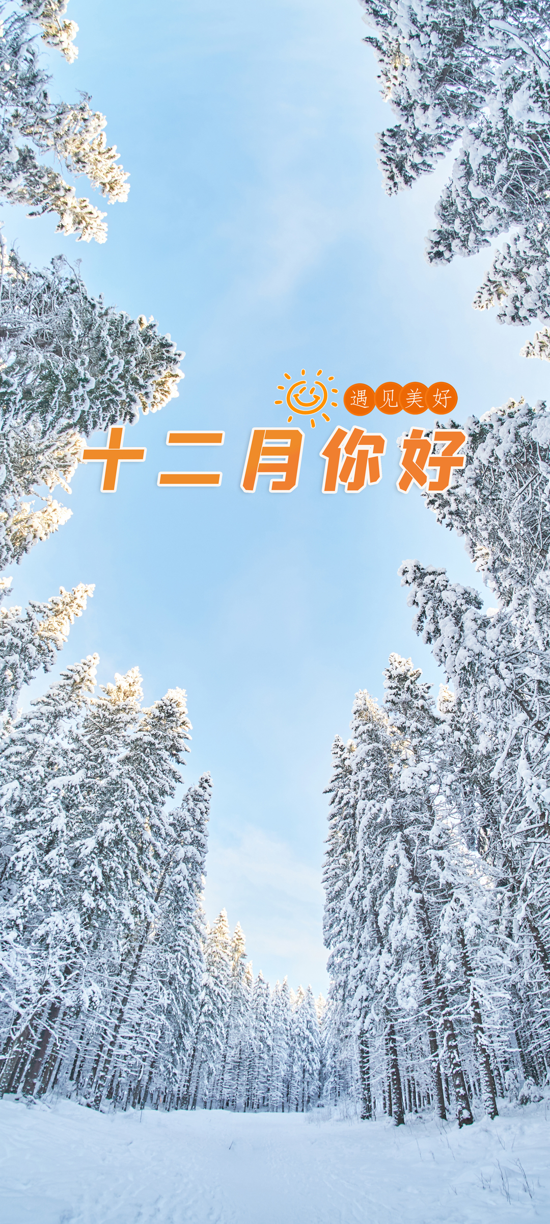 十二月你好 冬天 雪景 树林 风景 手机 壁纸
