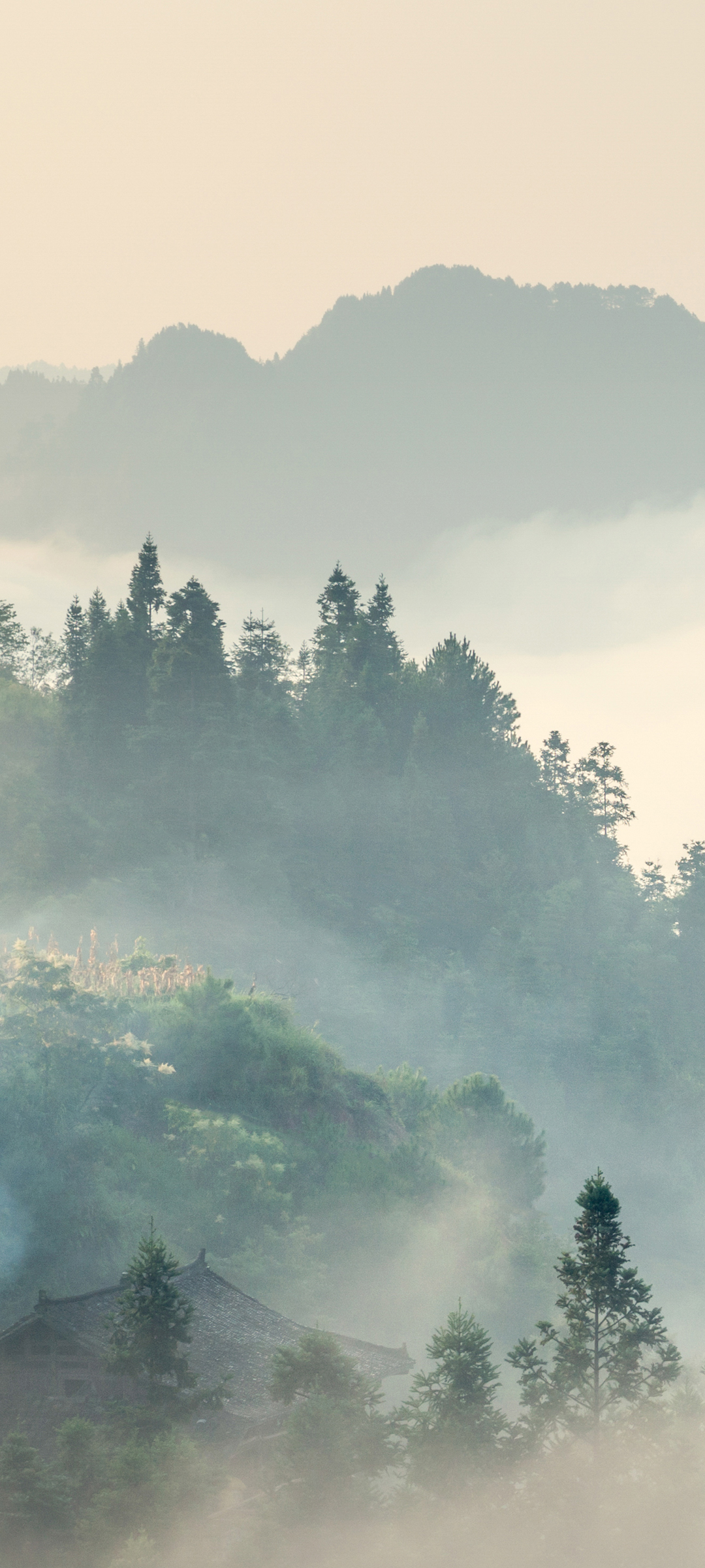 山村晨曦雾景，绝美手机壁纸，免费高清下载