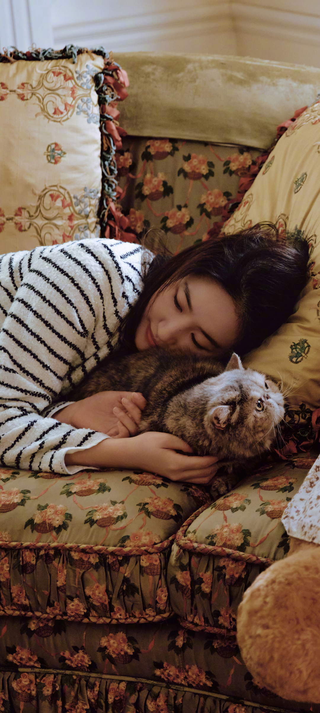 刘亦菲美照与萌猫共融沙发，精选手机壁纸免费下载