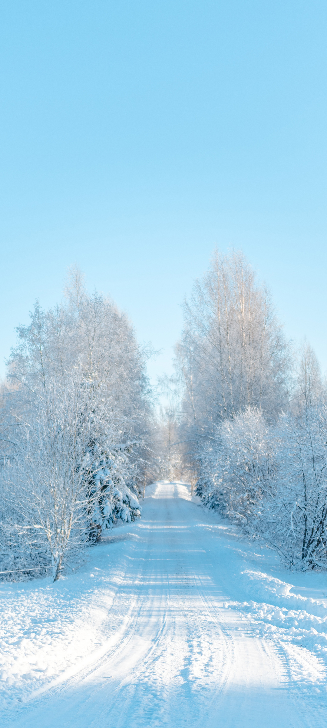 冬日雪景，公路旁的树木风光，高清手机壁纸免费下载