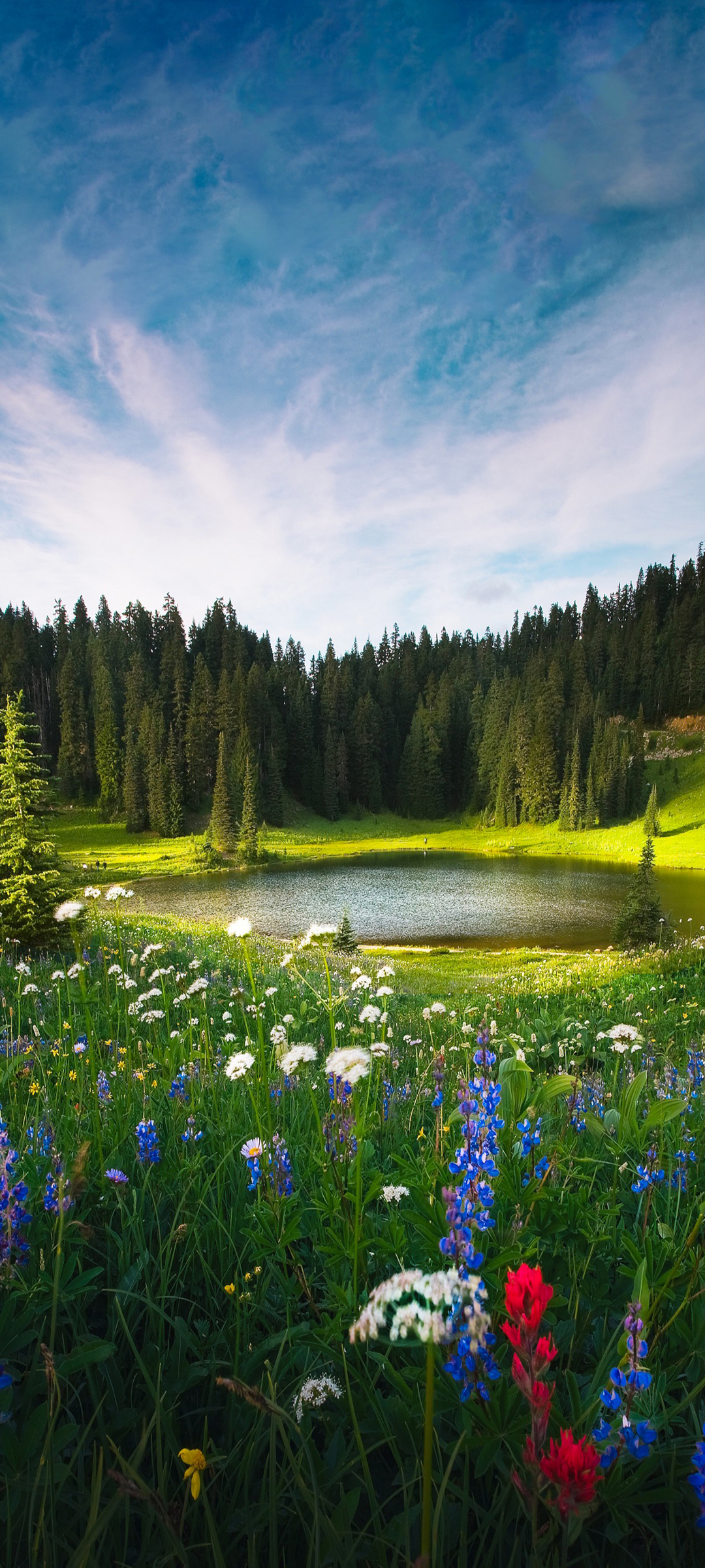 高山湖林花景手机壁纸，免费下载绝美自然风景图片