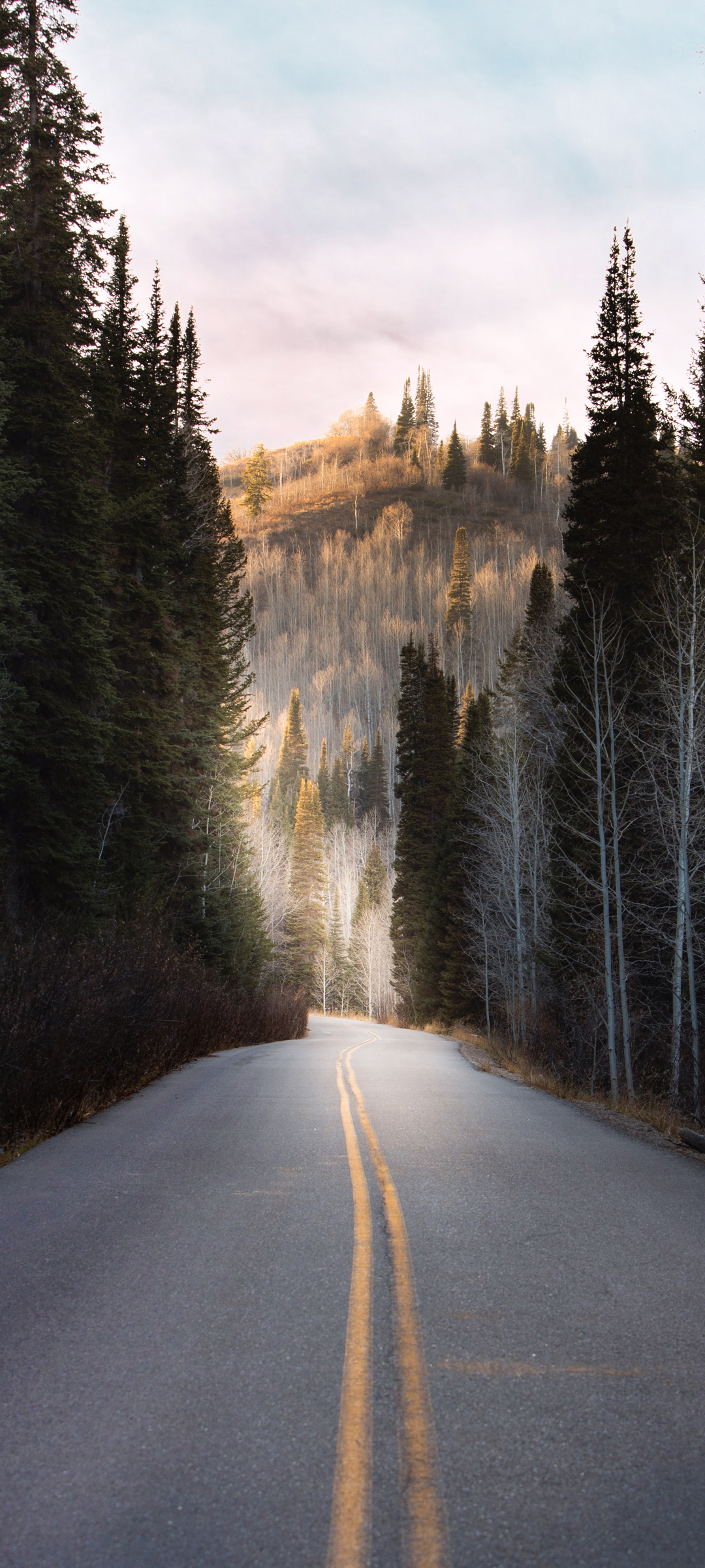 秋日公路美景，免费手机壁纸下载，打造专属秋日背景