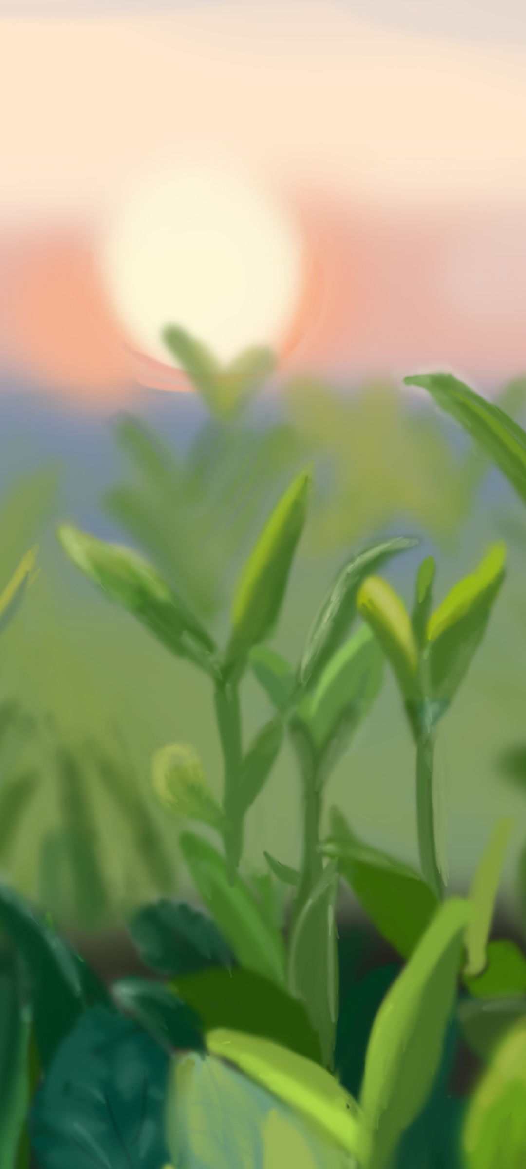 原创 日出 绿色植物高清手机壁纸