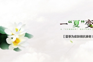 中国风燕窝banner