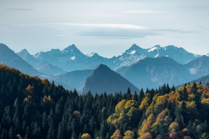 山脉 森林 山峰 雾 风景 4k壁纸 3840x2160