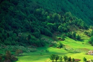 绿色高山背景