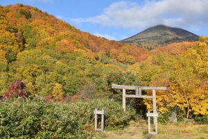  torii 森林 山脉 风景 日本 4k壁纸 3840x2160