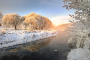 河,树，霜,雪,冬天的风景图片