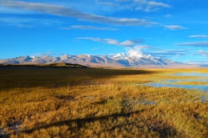 西藏蓝天湖泊背景