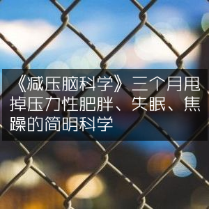 《减压脑科学》，三个月科学摆脱压力肥胖、失眠与焦躁，提升个人效能必备读物