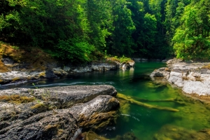 森林小溪河流风景4k壁纸