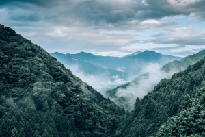 山脉 雾 树木 鸟瞰图 风景 4k壁纸 3840x2160