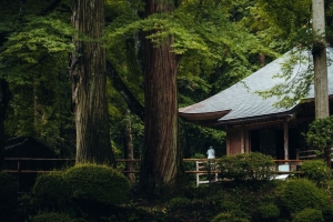 建筑 屋顶 宝塔 树木 4k壁纸 3840x2160