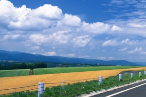 田野高速公路背景