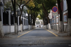 街道道路马路小弄堂