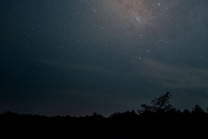 银河 星星 天空 夜晚 树木 深色 4k壁纸 3840x2160