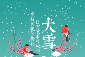 白雪欲求吟咏句，穿枝惊艳演梅花。