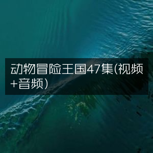 动物冒险王国第47集（视频音频双享版）