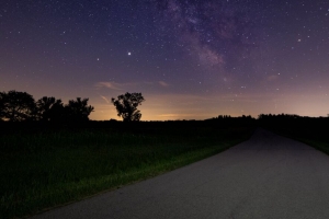 星空 星星 道路 灌木丛 夜间 4k壁纸 3840x2160