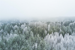 冬天雪景自然风景