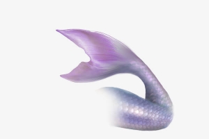 紫色美人鱼尾巴
