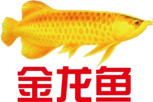 金龙鱼农产品LOGO