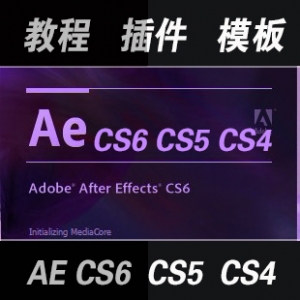 AE视频教程大全260GB/After Effects CS4/CS5教程/软件+素材+字体