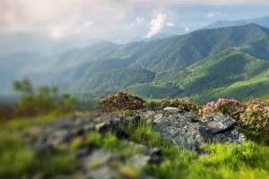 自然绿色远山背景