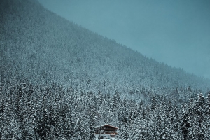 建筑 湖面 下雪 树林