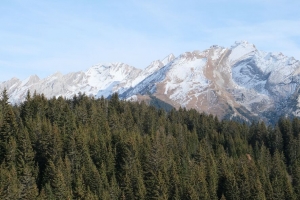 山 森林 雪 风景 4k壁纸 3840x2160