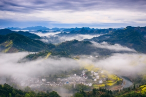 清明，油菜花海