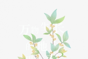 春天绿叶花朵花瓶树枝