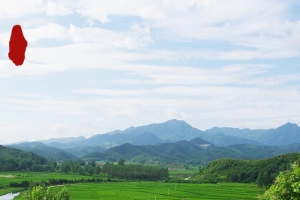 风景蓝天绿草野生草药PSD分层主图背景素