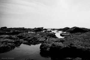 珊瑚礁 石头 大海 风景 黑白 4k壁纸 3840x2160